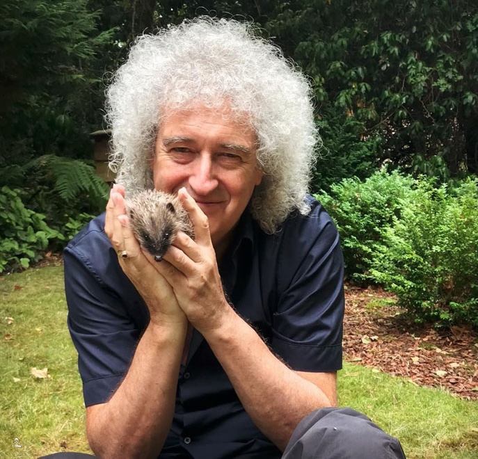 Sir Brian May, co-founder of the Save Me Trust